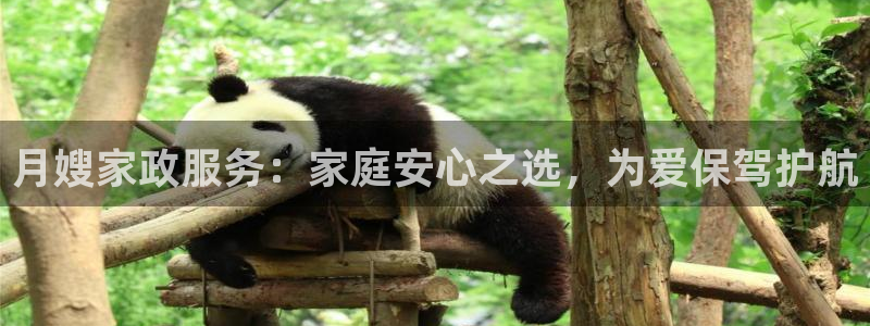 杏悦地址