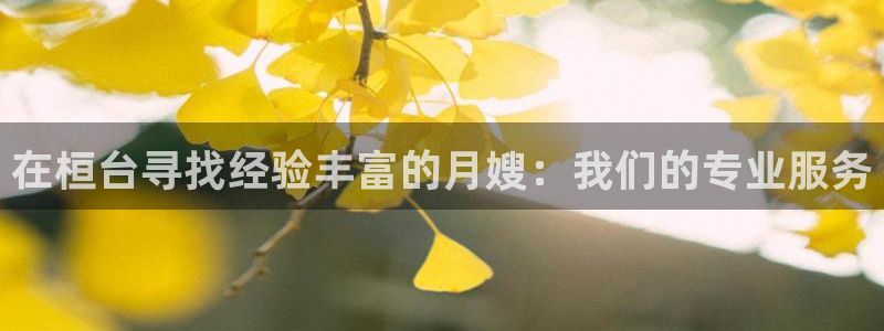 杏悦官网注册信息是什么样的