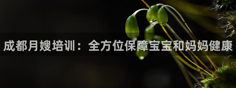 杏悦平台招商怎么样