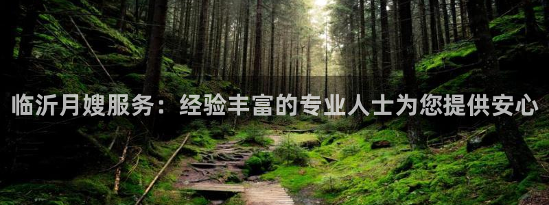 杏悦平台代理怎么赚钱快