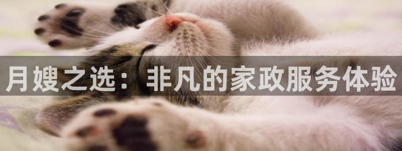 杏悦平台注册地址