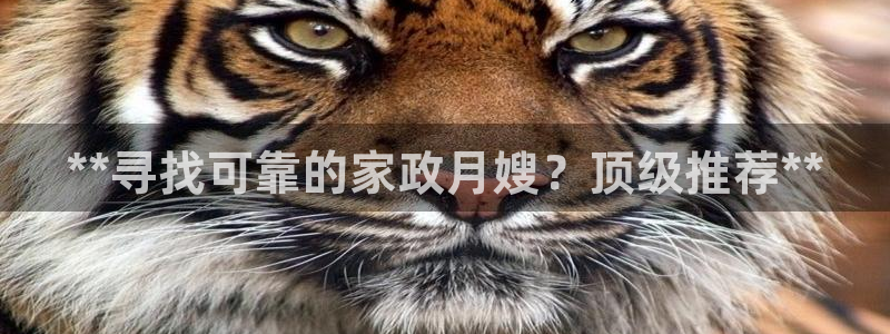 杏悦平台代理怎么赚钱快