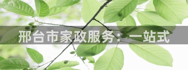 杏悦招商地址
