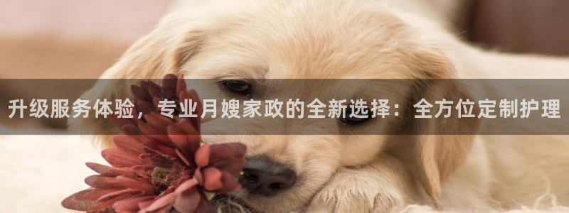 杏悦平台登陆