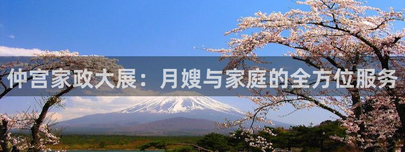 杏悦平台可靠吗可信吗安全吗