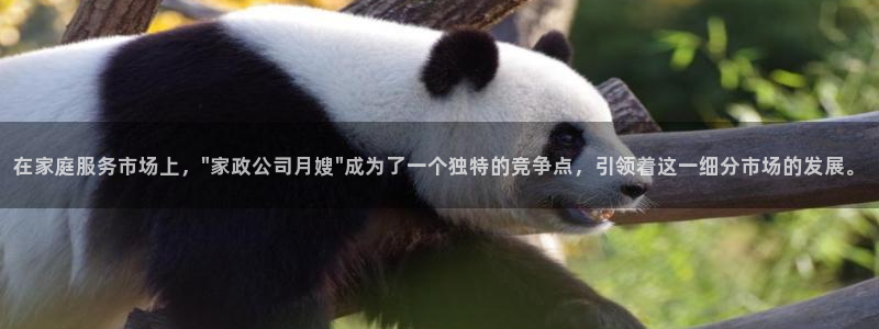 杏悦平台可靠吗