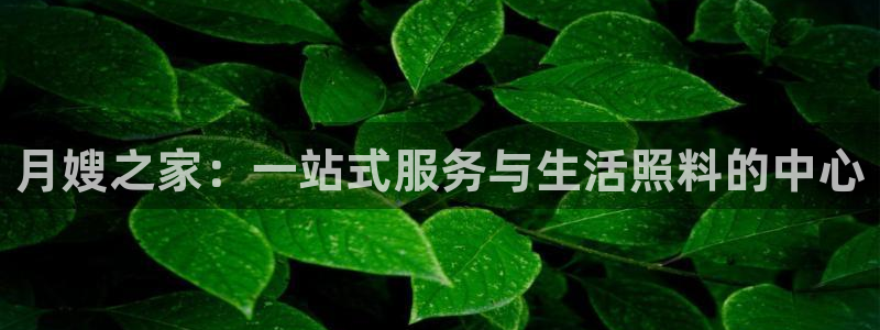 杏悦平台可靠吗可信吗安全吗