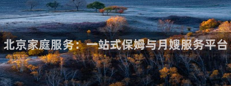 杏悦平台主管