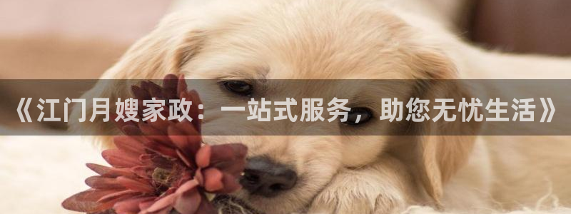 杏悦平台代理怎么做