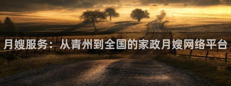 杏悦是什么平台