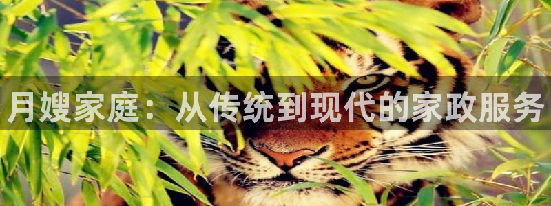 杏悦官网