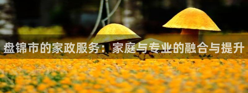 杏悦官方平台