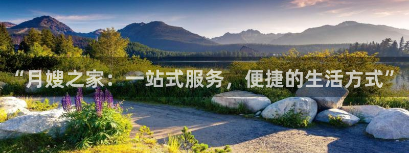 杏悦平台如何注册账号