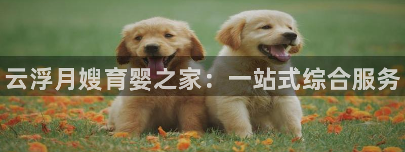 杏悦平台注册地址