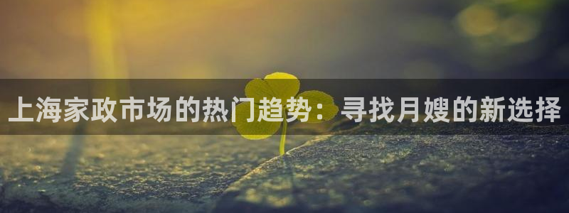 杏悦平台代理怎么赚钱的