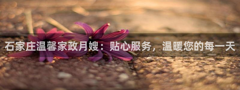 杏悦平台代理