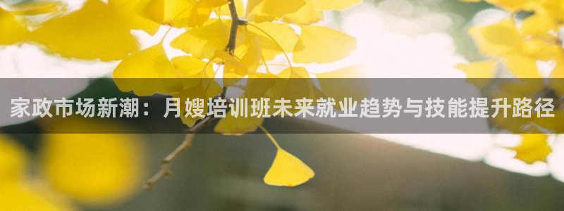 杏悦平台登录地址在哪里