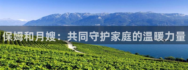 杏悦官网登录入口网址