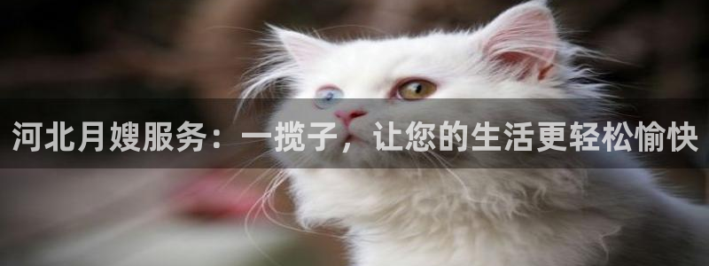 杏悦平台登录入口官网