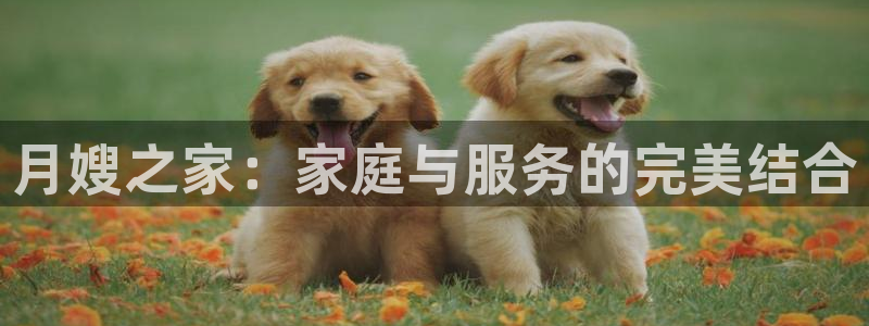 杏悦官网注册信息在哪里查看