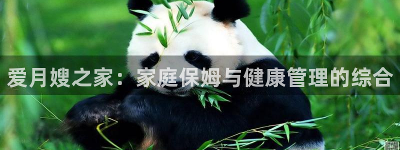 杏悦平台登录网址查询