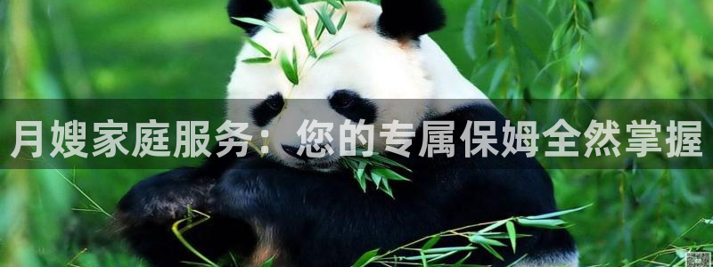 杏悦官网注册信息在哪里看