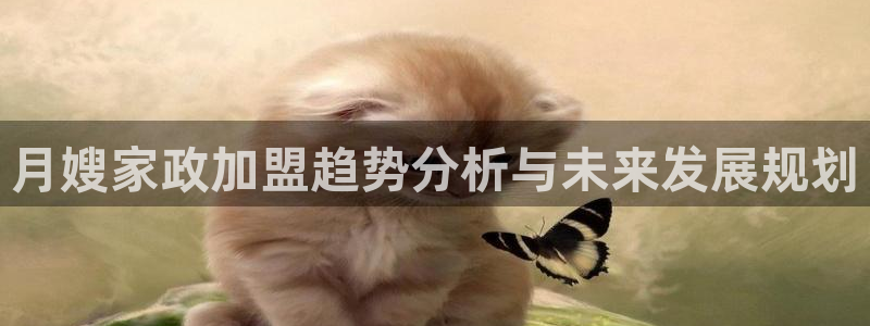 杏悦平台招商电话号码