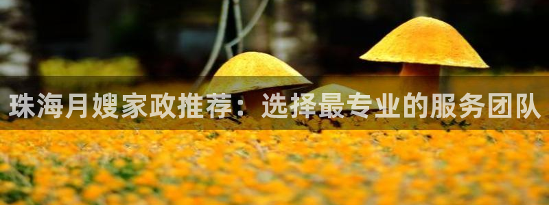 杏悦官网注册信息