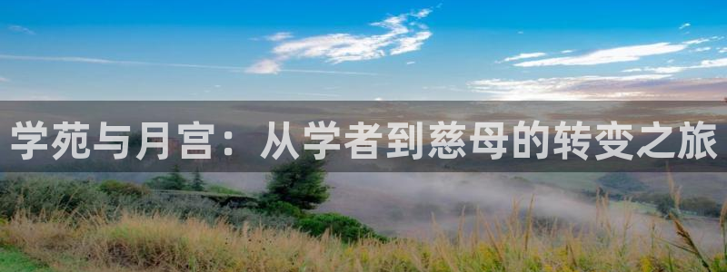 杏悦平台注册流程