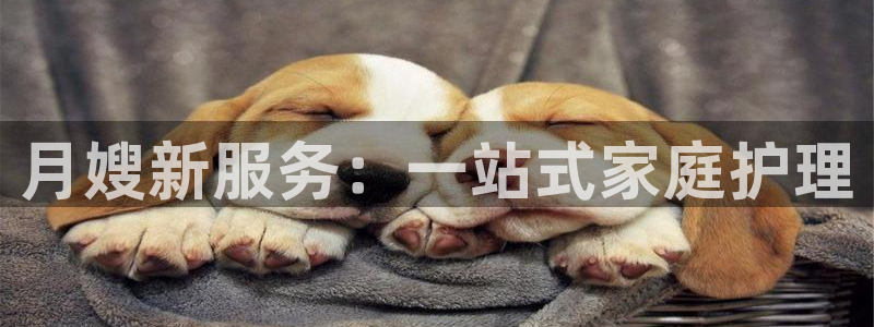 杏悦官网注册信息