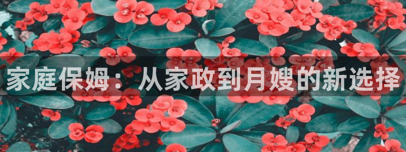 杏悦官网注册信息是什么