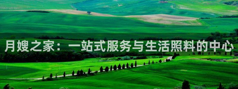 杏悦平台如何注册账号