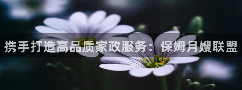 杏悦平台可靠吗可信吗知乎