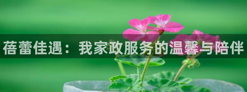 杏悦娱乐注册平台怎么样