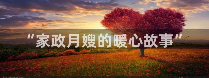 杏悦官网注册信息是什么样的