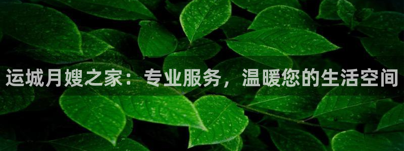 杏悦t首选推荐平台