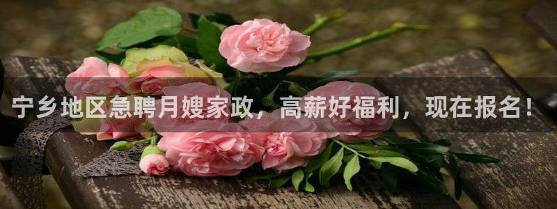 杏悦娱乐平台靠谱吗