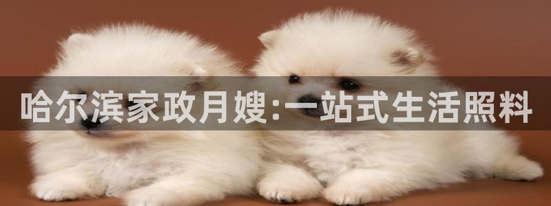 杏悦官方平台官网入口