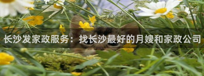 杏悦平台登录地址在哪里