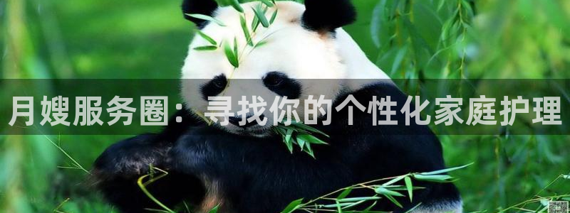 杏悦平台登录网址是多少