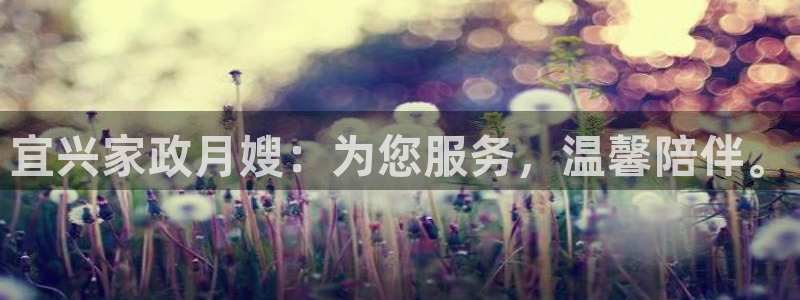 杏悦平台代理怎么做